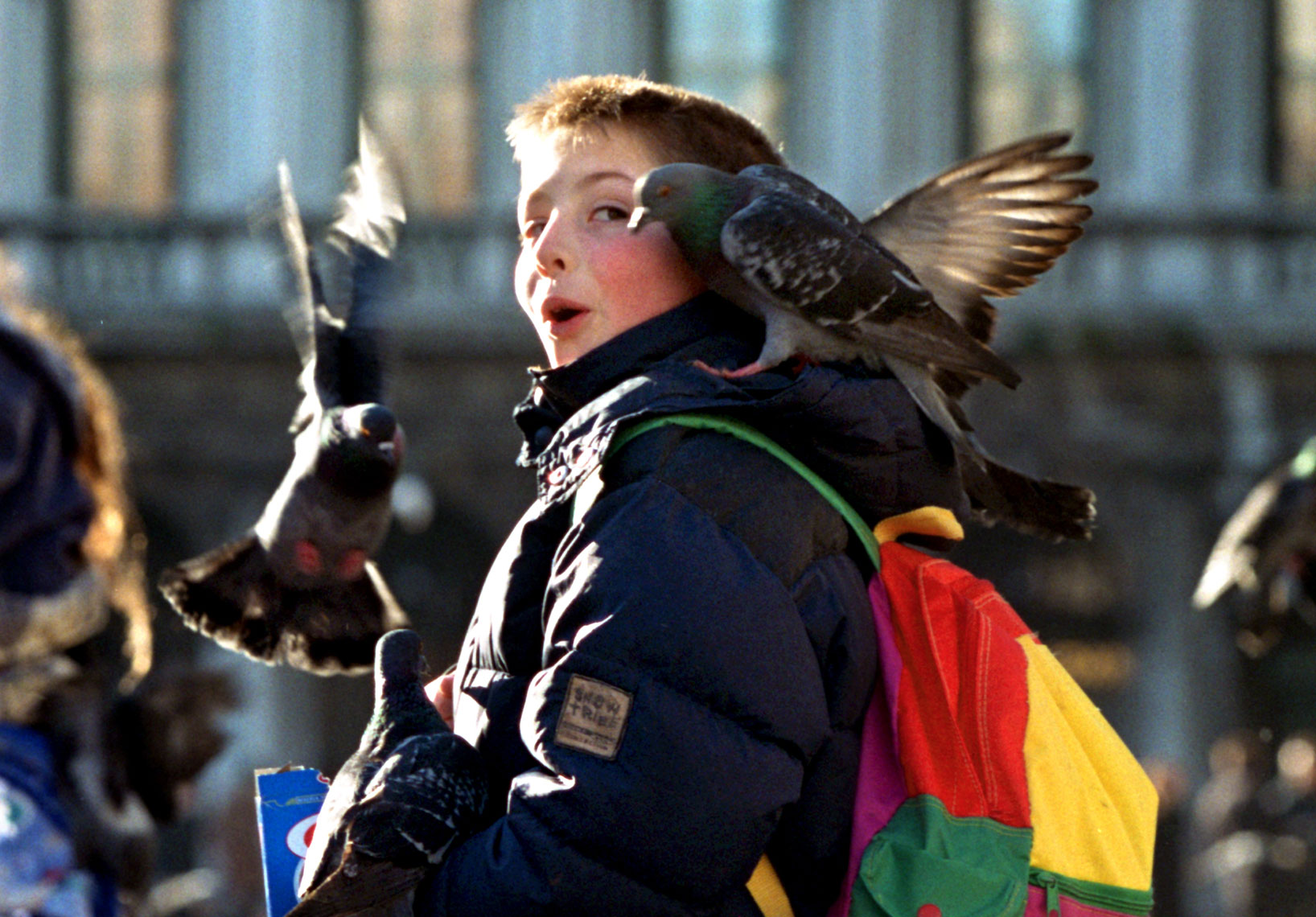 Kid-wPigeon-on-Shoulder