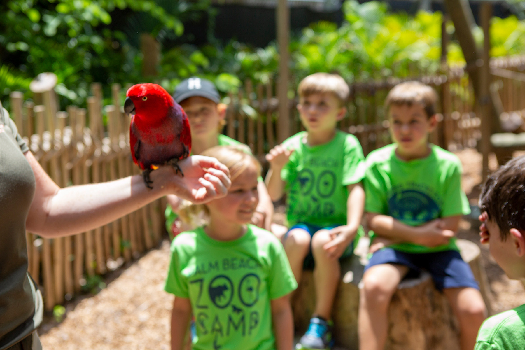 PB-Zoo-Campers-6305